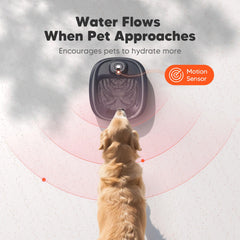 WOPET induction sensor mode activates flow when the dog approaches.