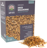 Worm Nerd WN61 dried mealworms bag, protein-rich snack for poultry.