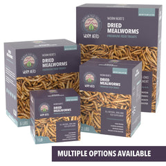 Worm Nerd WN61 product shot in reptile tank feeding setup.