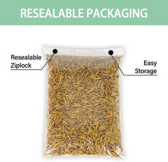 WORMSKING BSFL immune-support-nutrition supports hardy birds and healthy feathering
