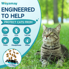 Woyamay cat treats ready to offer: simple daily routine for preventive care.
