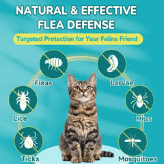 Woyamay chicken-flavored chews loved by cats during daily use