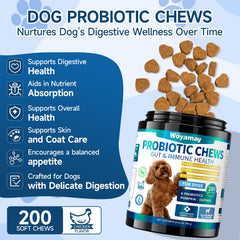 Woyamay Dog Probiotic chews in chicken flavor entice dogs and support daily gut care