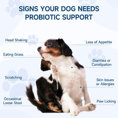 Woyamay probiotic chews with pumpkin and flaxseed support gut health and nutrient intake