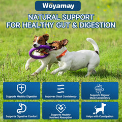 Woyamay Dog Probiotic chews soft texture aids easy feeding and digestion support