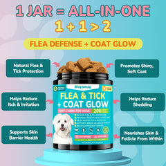 Woyamay Flea + Coat Glow chews bottle close-up highlights easy-to-administer daily protection.
