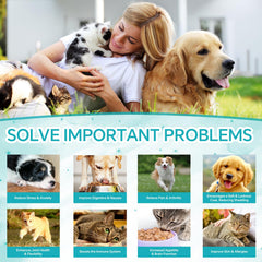 Woyamay hemp oil drops for dogs and cats support joint comfort.