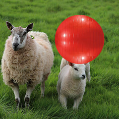 WoYous goat ball inflator pump shown for quick, easy inflation.
