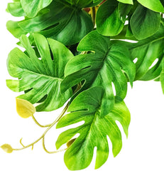 Woyrise non-toxic plastic terrarium plant designed for durable, safe habitat decor.