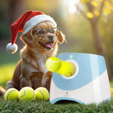 WRTZ automatic dog ball launcher for small dogs enables safe indoor play.
