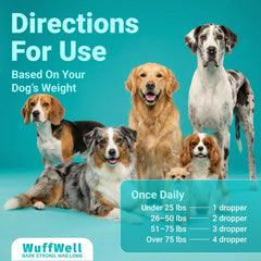 WuffWell dog joint mobility boost in action during a joyful run.