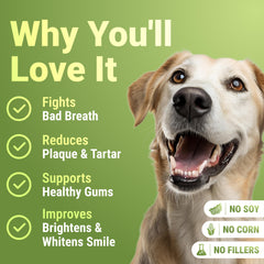 WuffWell dog teeth powder on food demonstrates simple sprinkle method for fresher breath