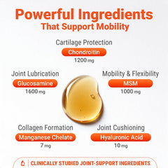 WuffWell liquid joint support aids smoother movement in dogs.