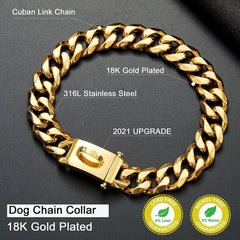 W/W Lifetime chew-proof D-ring detail supports tags and leash securely