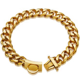 W/W Lifetime gold dog chain collar with design buckle for secure daily walks