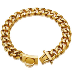 W/W Lifetime gold dog chain collar with design buckle for secure daily walks