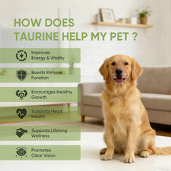 Close-up of PawVita Taurine Powder texture, easily mixes with meals.