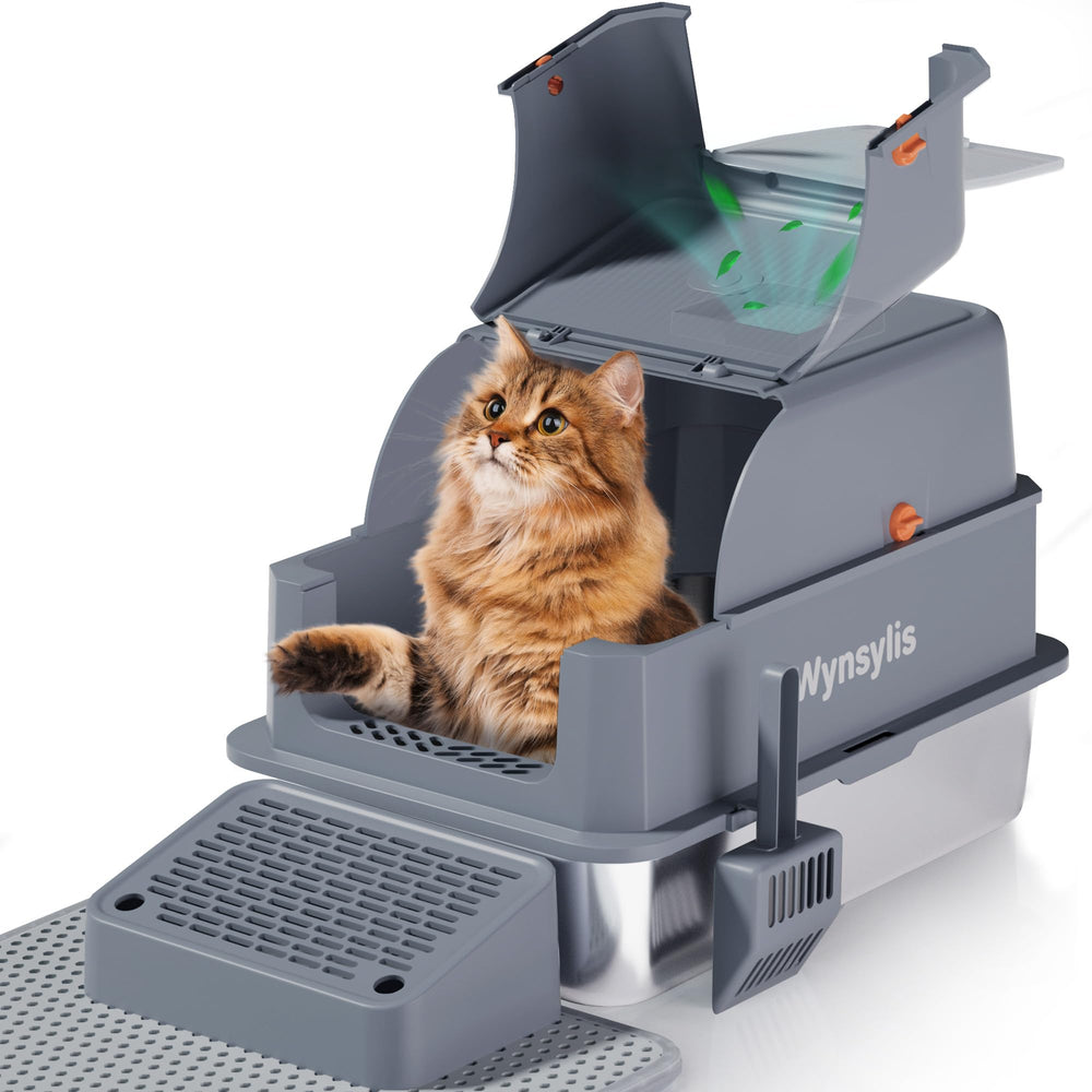 Wynsylis XL stainless steel litter box with lid, ensuring privacy and containment for mess-free use