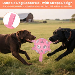 WYNTRIUM dog ball on water illustrates floatable design for pool or beach.