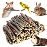 Wyomer apple sticks for small animals pack provides natural chew and teeth relief