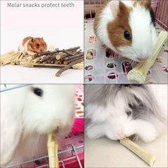 Durable WYOMER chew shows elastic design suitable for heavy nibbling
