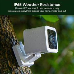 WyzeCam Cam v3 1080p live view provides sharp interior monitoring
