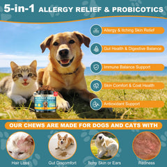 Wzxlj.Y dog allergy chews packaging front displays natural ingredients.