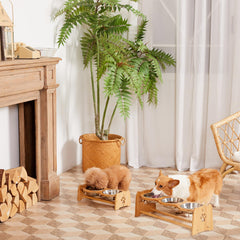 X-ZONE PET elevated bowls anti-slip feet highlight floor protection during meals