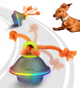 Xeuch led light up dog ball with bright LEDs for nighttime play.