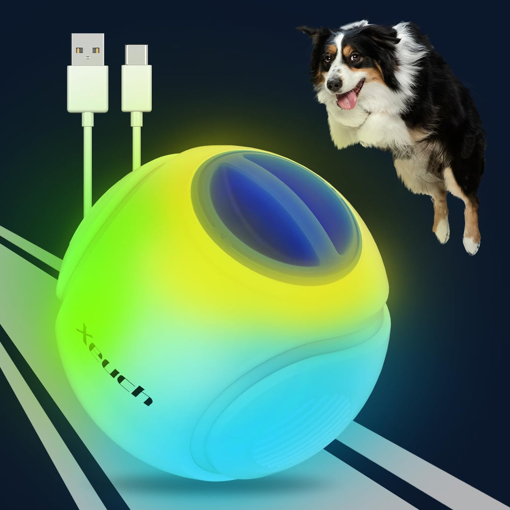 Xeuch light up dog ball glows blue for easy night fetch.