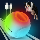 Xeuch Light Up Dog Ball glows in the dark for nighttime fetch.
