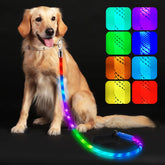 Xeuch light-up dog leash with LED strip for night visibility.