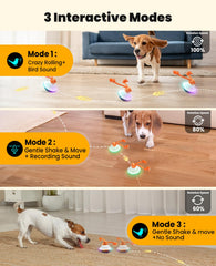 Xeuch dog toy with voice interaction chirps to grab attention during play.