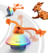 Xeuch smart interactive dog toy rolling ball with rope to engage fetch sessions.