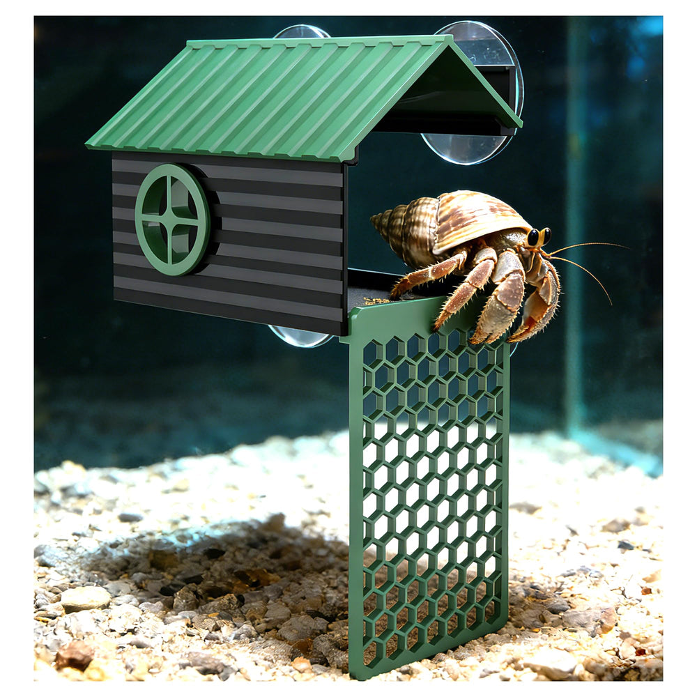 XIAOXINGYUN hermit crab hideaway cave with ladder fostering natural climbing and foraging behavior.