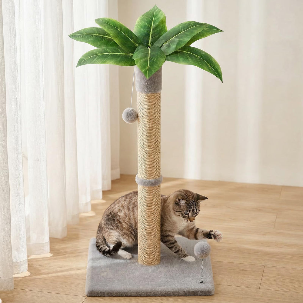 XiaZ cat scratching post base offers ultra-wide stability for active cats.