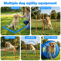 XiaZ Dog Agility Weave Poles to practice weaving with improved speed and accuracy
