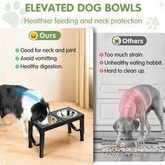 XiaZ dual stainless bowls provide water and food options with easy cleaning.