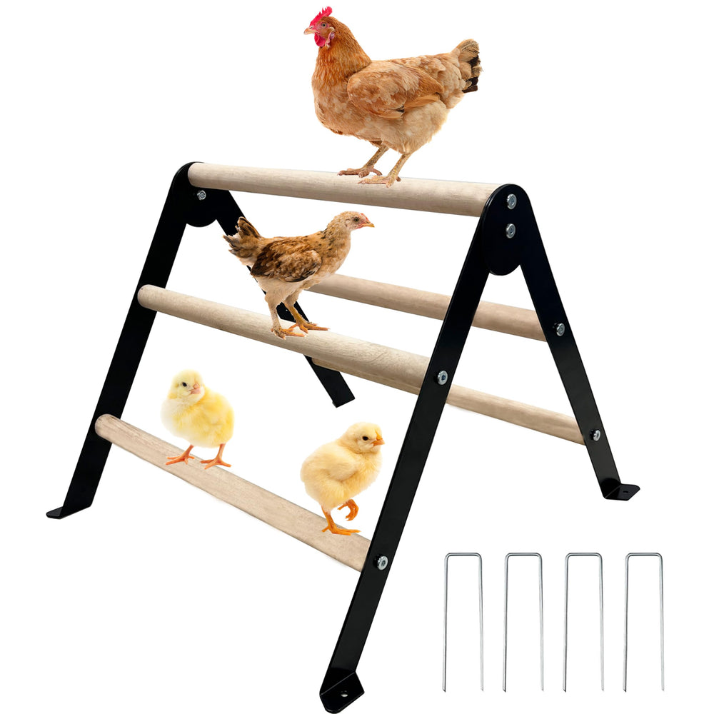XINYI baby chick perch toy in coop with angle-adjustable stand for versatile roosting.