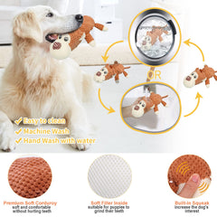 XLMYS dog bone molar stick provides textured gnawing for dogs