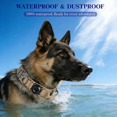 Xqpetlihai 1000D nylon collar resists wear for daily use and long-lasting performance.