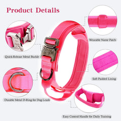 Xqpetlihai heavy-duty metal buckle collar offering secure closure and reliability.