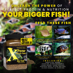 Xtreme Aquatic Foods Big Fella marine protein blend highlights krill and shrimp.