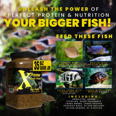 Xtreme Aquatic Foods oceanic protein blend; krill, shrimp, squid for color and energy.