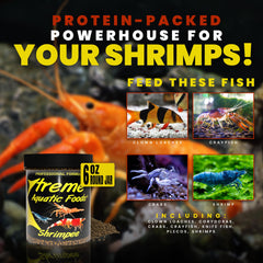 xtreme shrimpee 3mm stick feeding-in-tank demonstrates daily staple for shrimp
