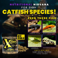 Xtreme Scrapers Wafers in aquarium show nocturnal nibbling behavior.