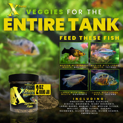 Xtreme Spirulina Flakes color vibrancy focuses brighter hues in algal feeders.