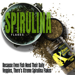 Xtreme Spirulina Flakes digestible proteins promote cleaner waste in tanks.