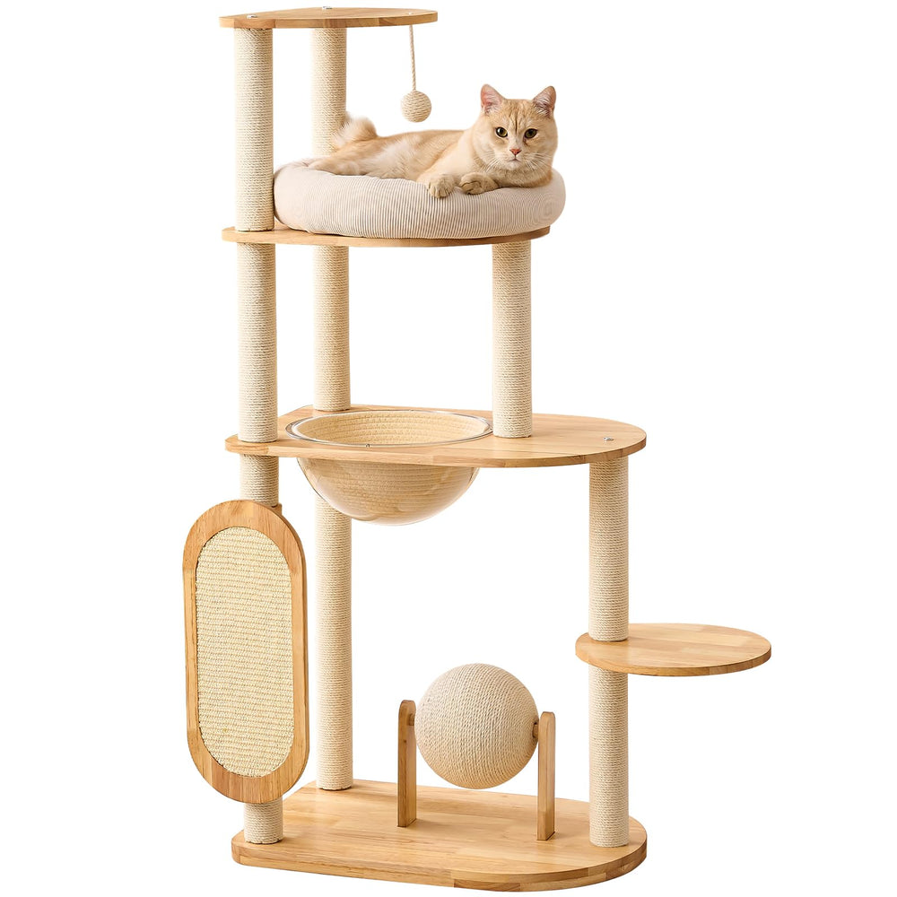 Xuhocho Modern Cat Tree ladder design shown for safe indoor climbing and exploration