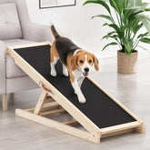 X XBEN dog ramp at couch height for safer access